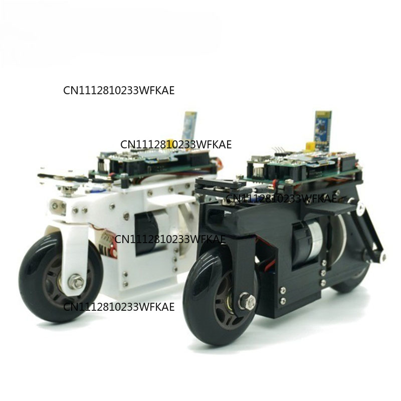 2WD RC Balance Bike Cubli Self - Stm32 Robot review and price