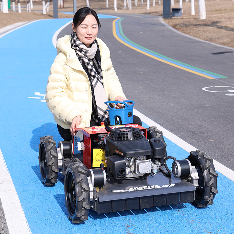 Customized Lawn Mower Robot Fo - Robot Wheel review and price