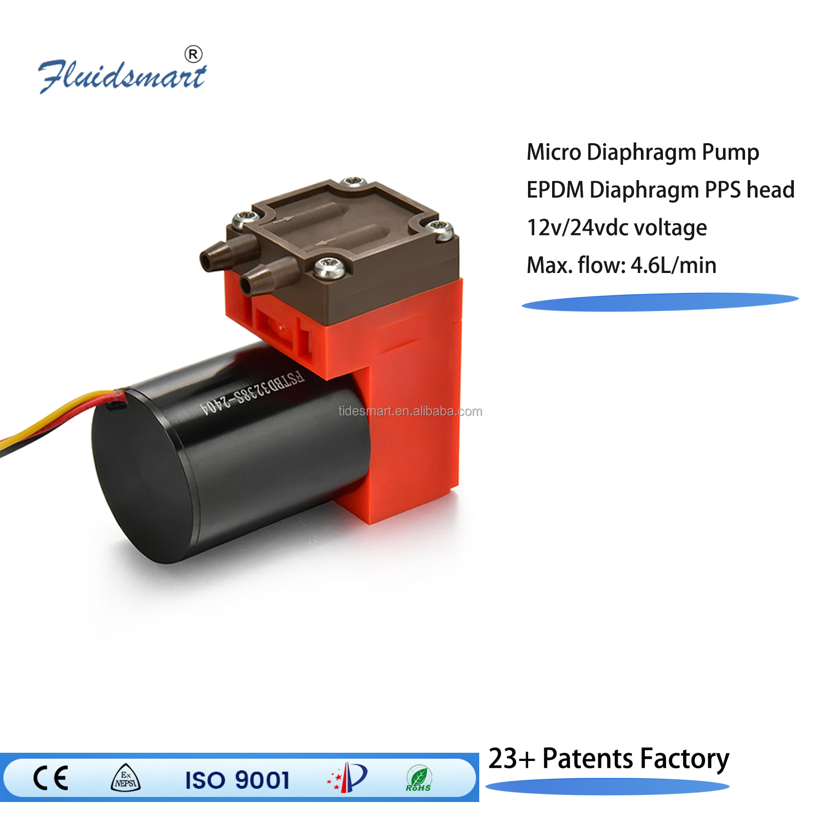 4.6L/Min Flow PPS High Mass Fl - Dc Motor 12V review and price