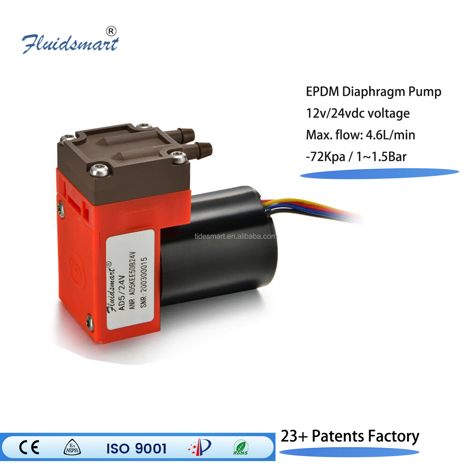 4.6L/Min Flow PPS High Mass Fl - Dc Motor 12V review and price