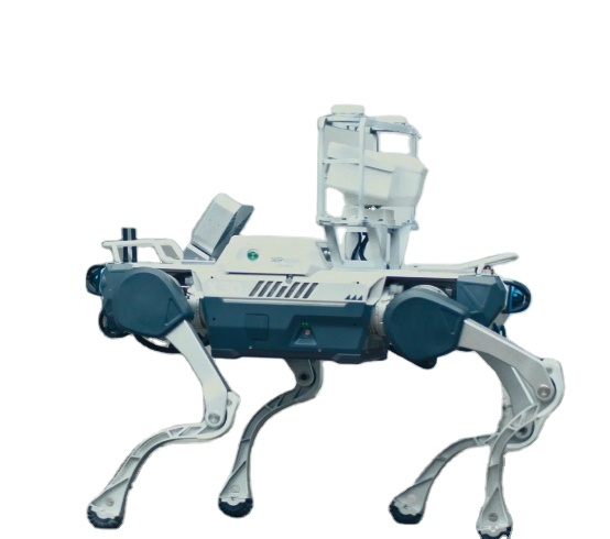 Achieving Artificial Intellige - Robot Remote Control review and price